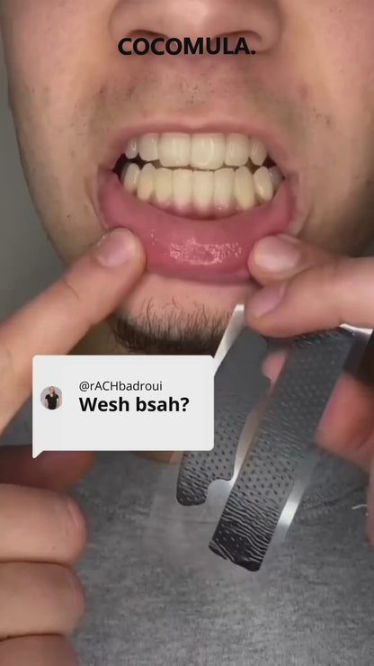 Rapide et Naturel | V34 + BIO Bandes